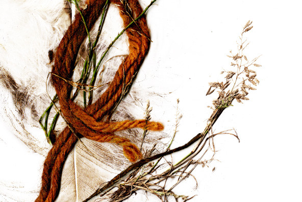 Botanicals 23 Botanicals 23