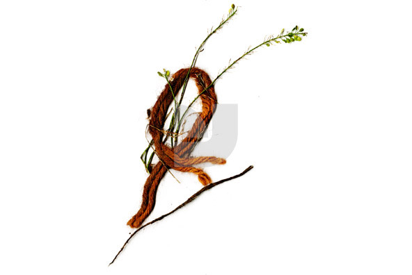 Botanicals 23 Botanicals 23