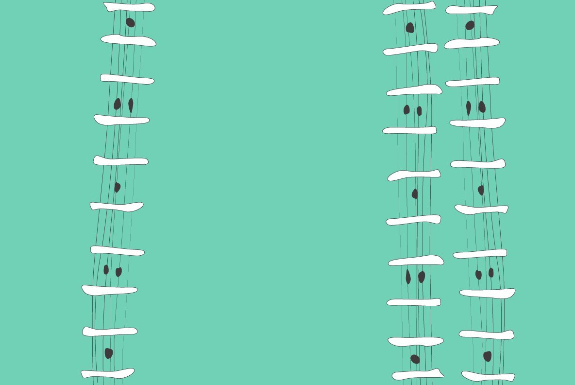 Decorative Brush Decorative Brush