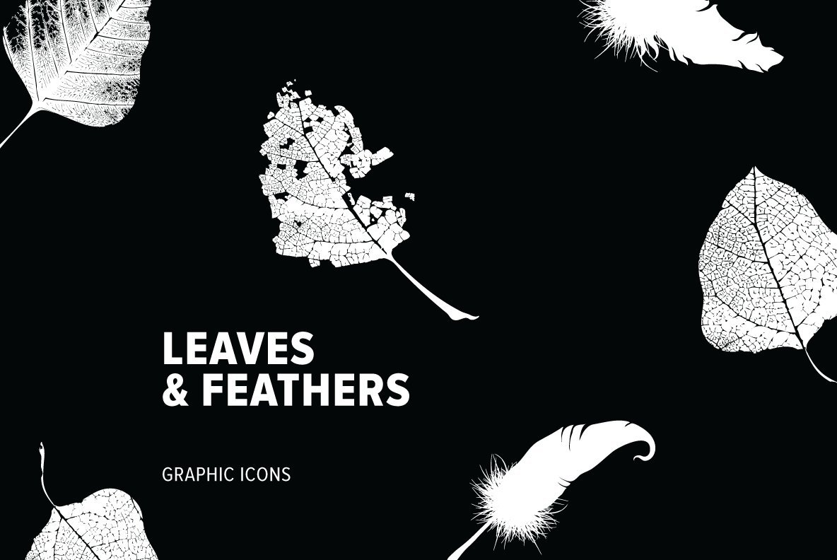 Leaves Feathers Leaves Feathers