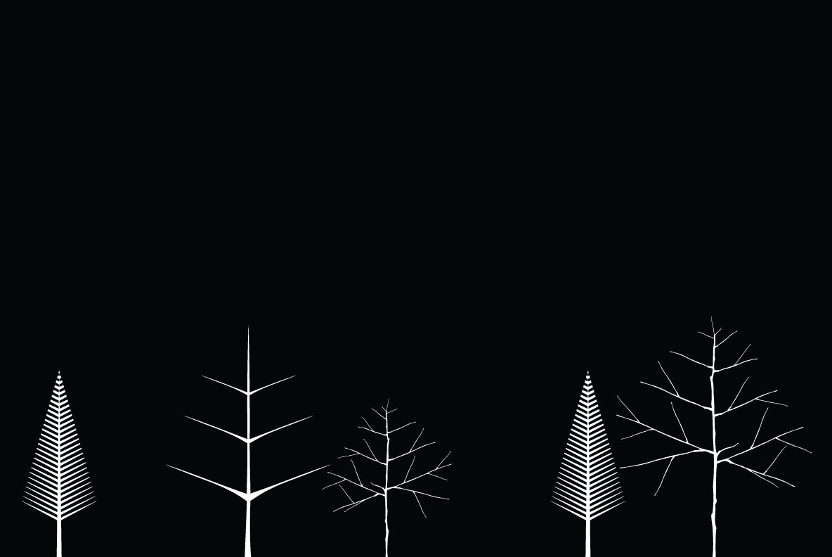 Leaves Feathers Leaves Feathers