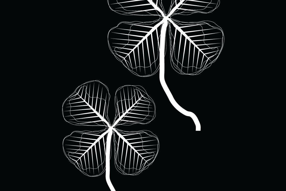 Leaves Feathers Leaves Feathers