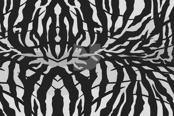 Animal Patterns 01 Animal Patterns 01