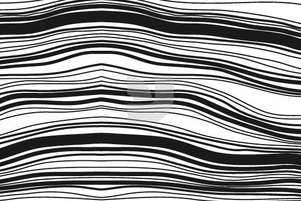 Animal Patterns 01 Animal Patterns 01