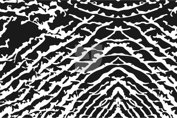 Animal Patterns 01 Animal Patterns 01