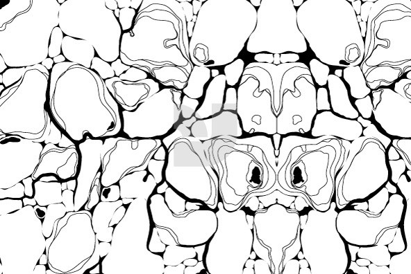 Animal Patterns 01 Animal Patterns 01