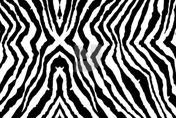 Animal Patterns 01 Animal Patterns 01