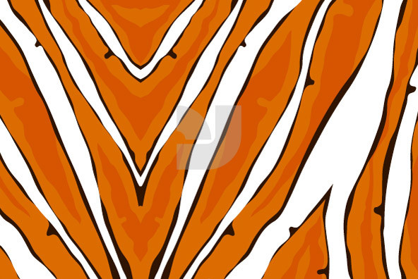 Animal Patterns 01 Animal Patterns 01