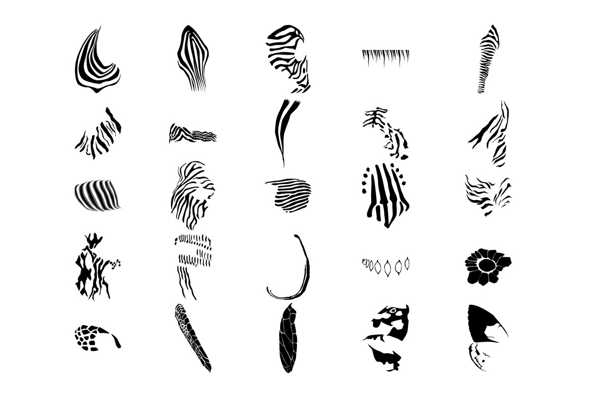 Animal Patterns 04 Animal Patterns 04
