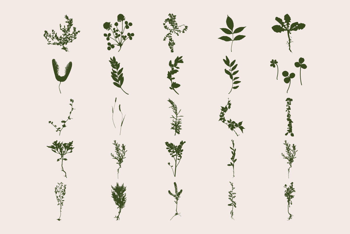 Botanicals Botanicals