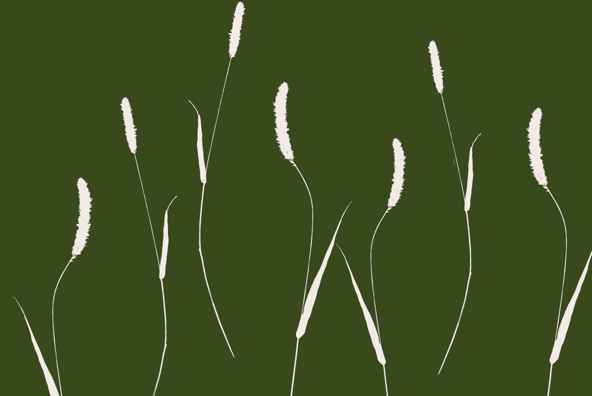 Botanicals Botanicals