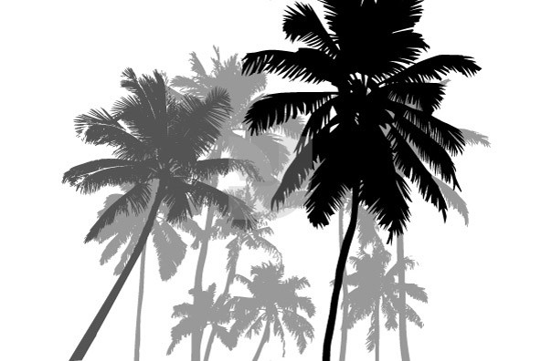 Timber 02 Timber 02