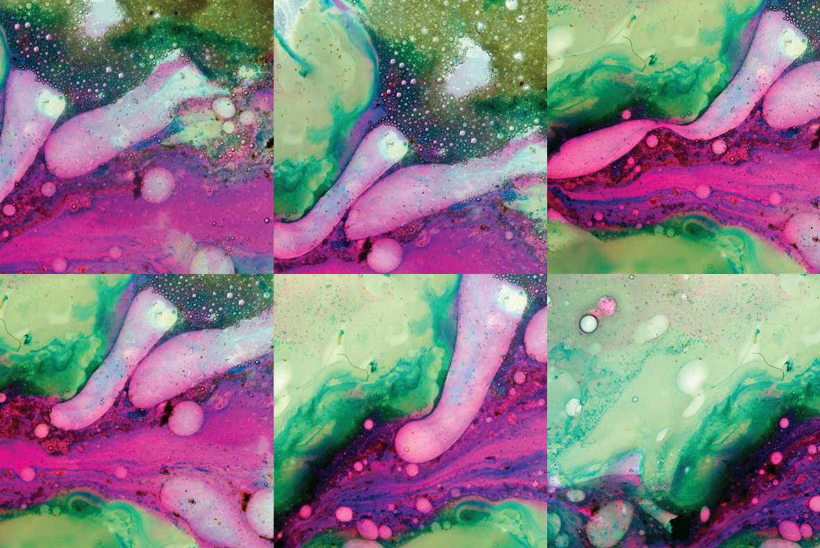 Oils 03 Oils 03