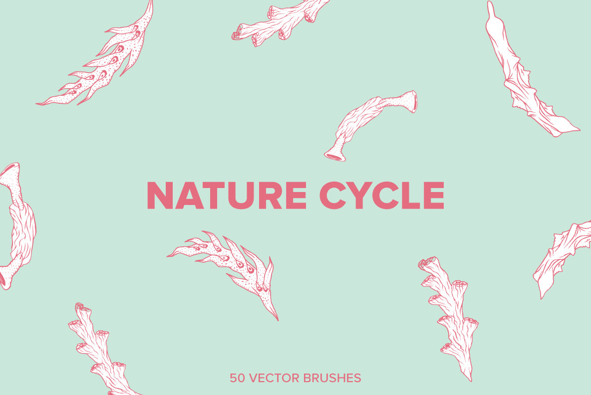 Nature Cycle Nature Cycle