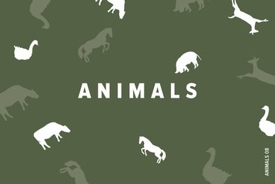 Animals 08