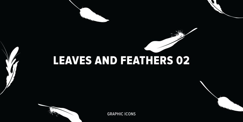 Leaves and Feathers 02
