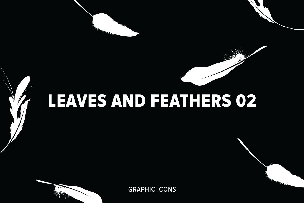 Leaves and Feathers 02 1