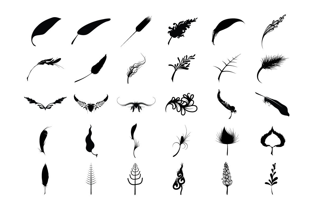 Leaves and Feathers 02 2