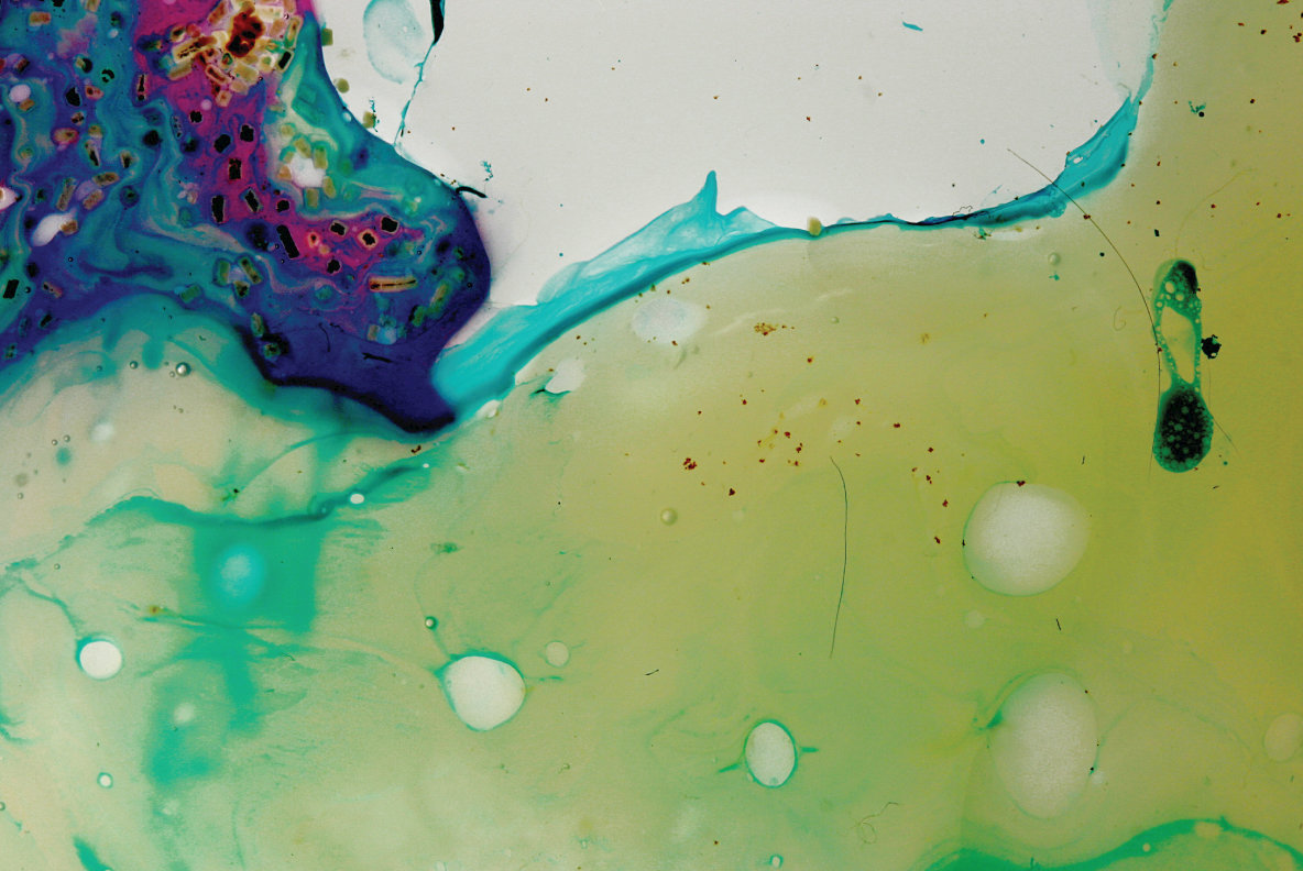 Oils 08 Oils 08