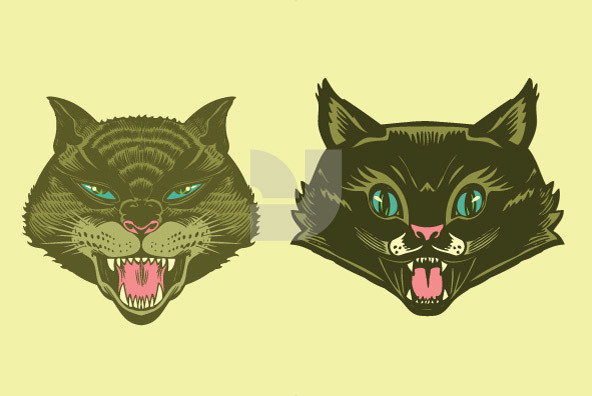 Wild Gatos 03 Wild Gatos 03