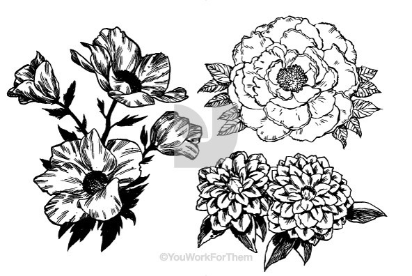 Botanicals 34 Botanicals 34