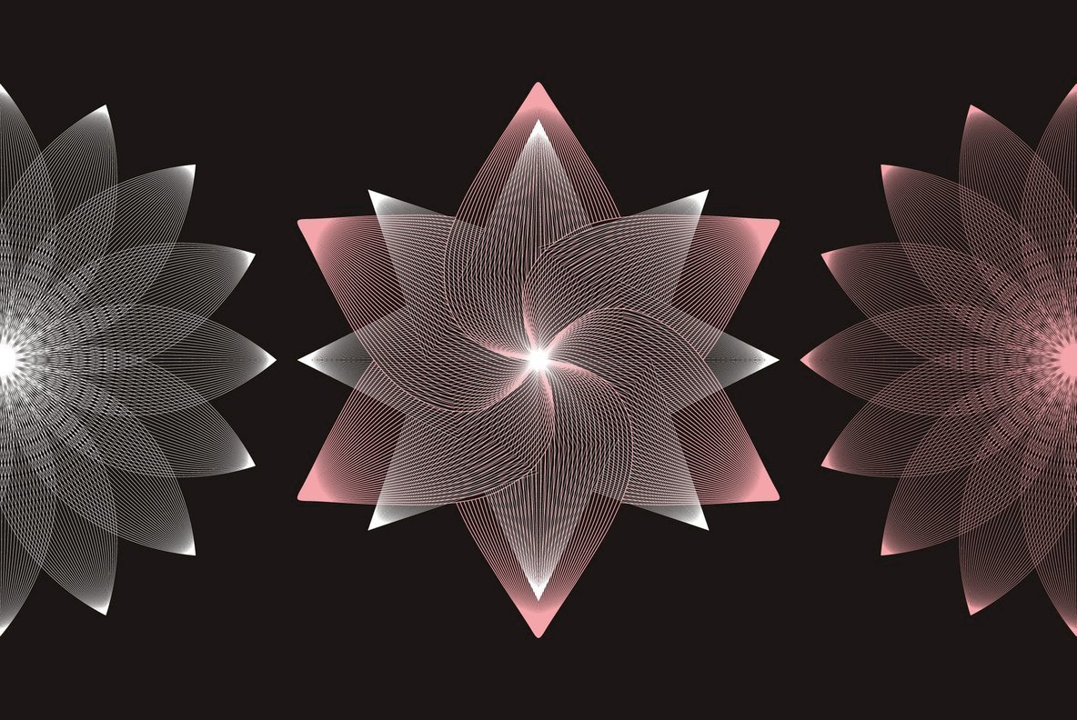 Flourishes 55 Flourishes 55