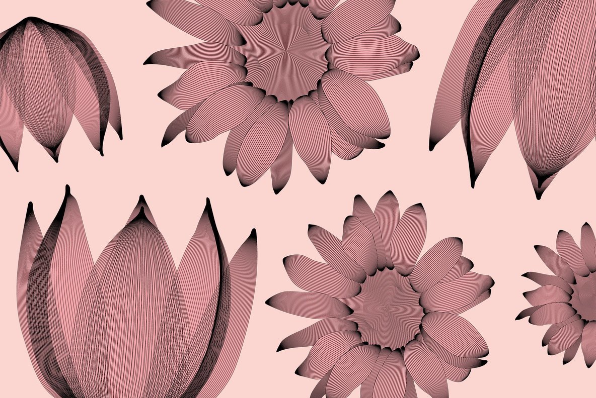 Flourishes 55 Flourishes 55