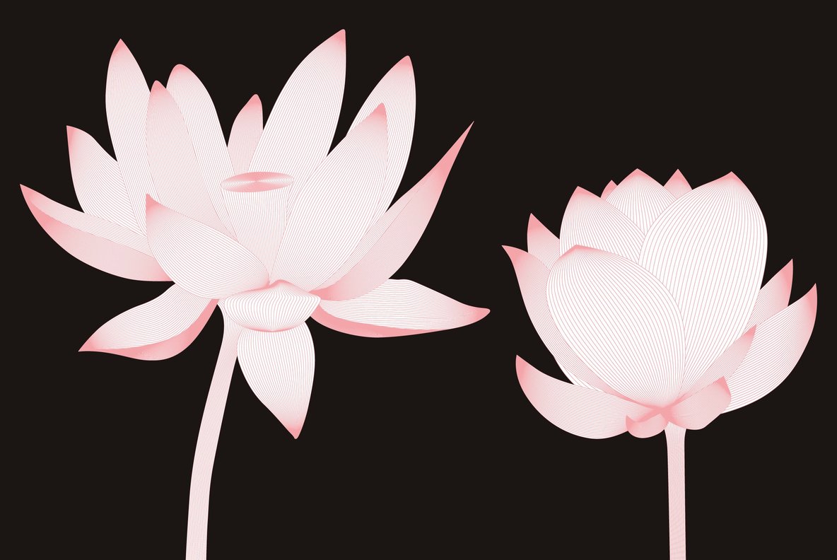Flourishes 55 Flourishes 55