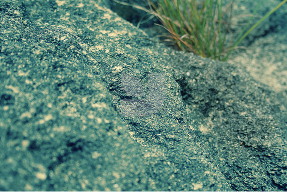 Below the Crust Below the Crust