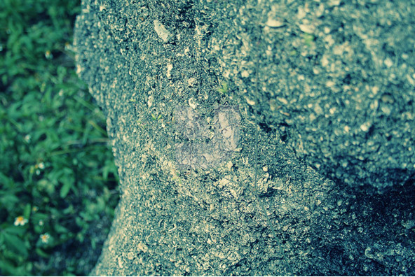 Below the Crust Below the Crust