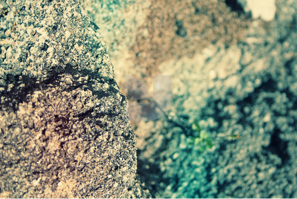 Below the Crust Below the Crust