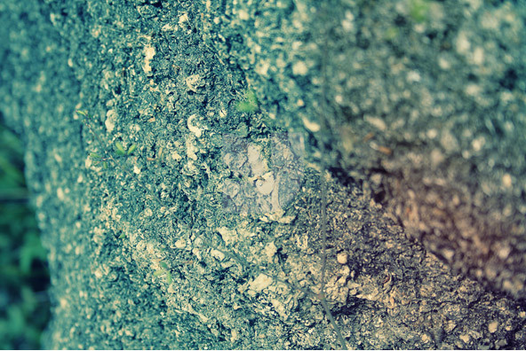 Below the Crust Below the Crust