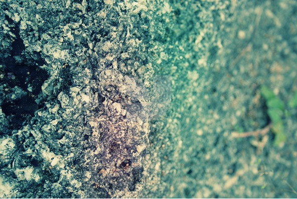 Below the Crust Below the Crust