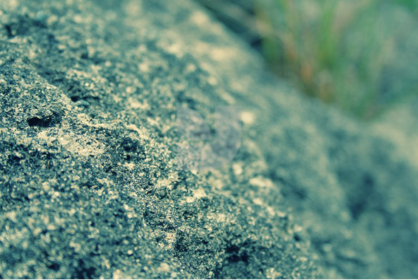 Below the Crust Below the Crust