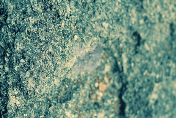 Below the Crust Below the Crust