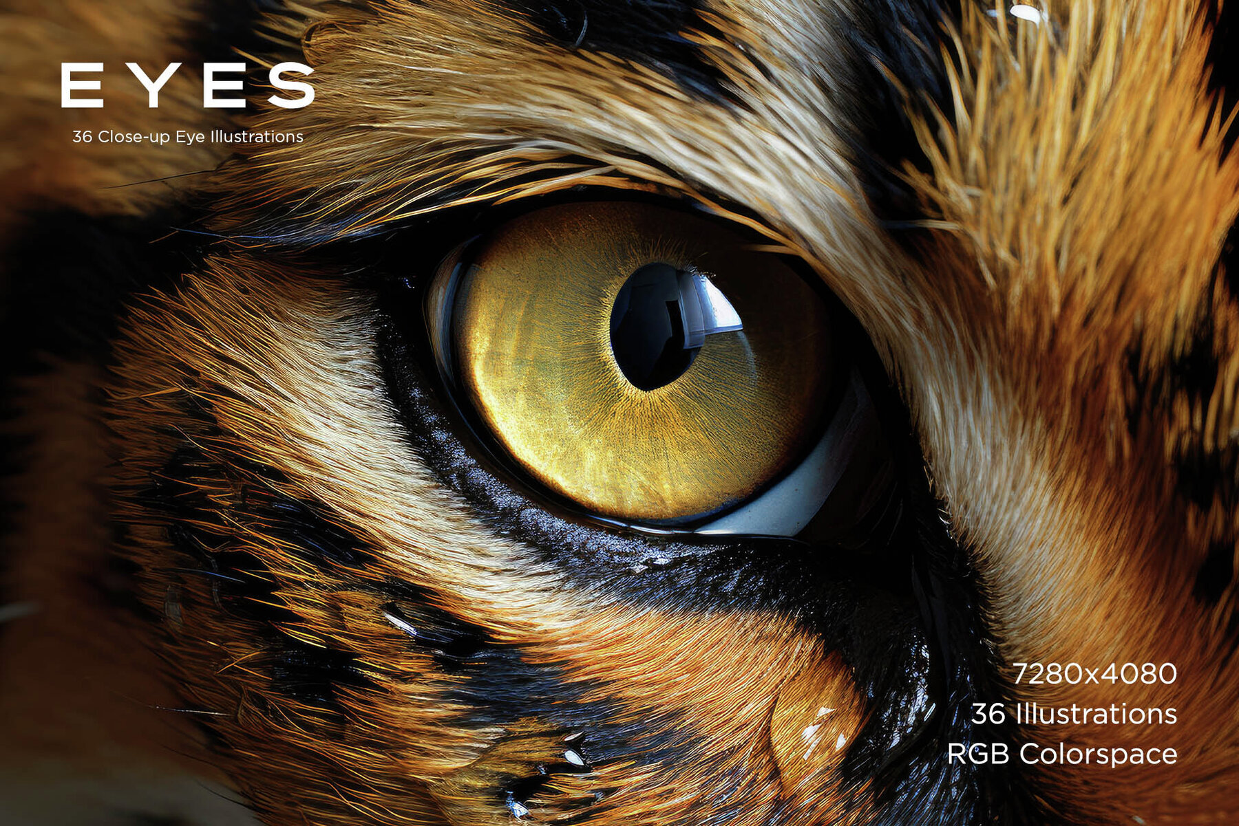 Eyes   36 Close up Eye Illustrations 2