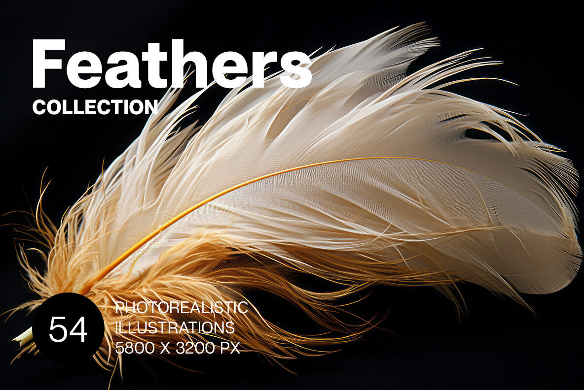 Feathers 1