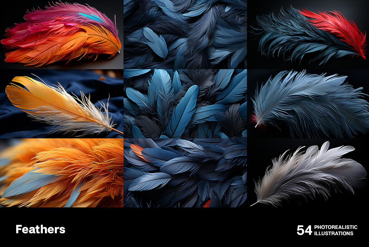 Feathers 3