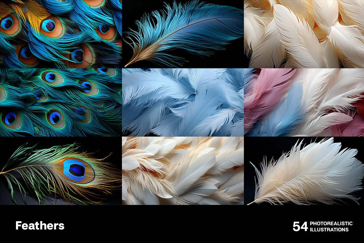 Feathers 5