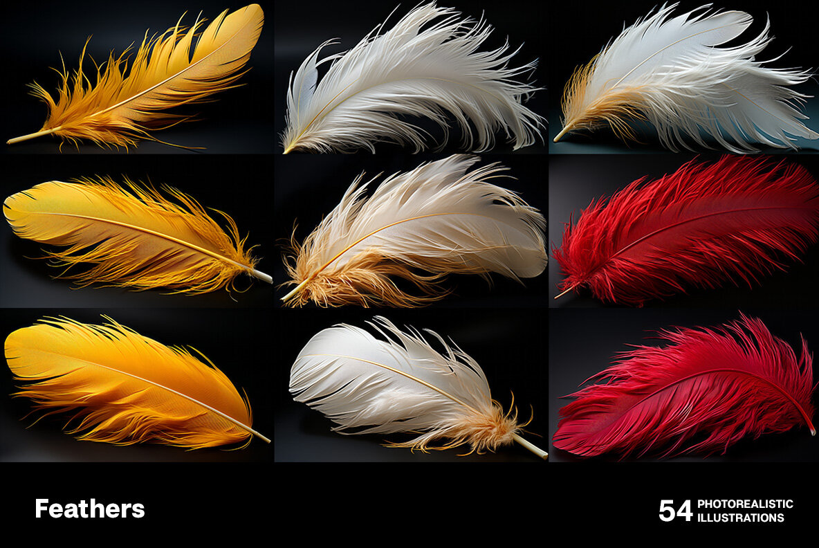 Feathers 6