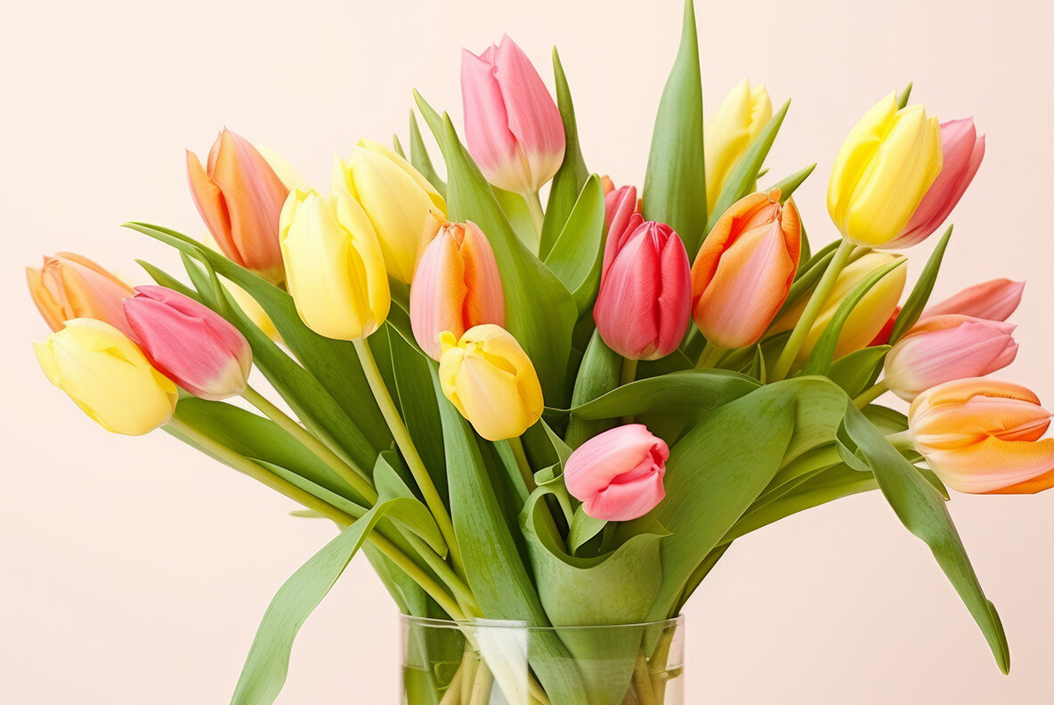 Bouquet of Tulips 8