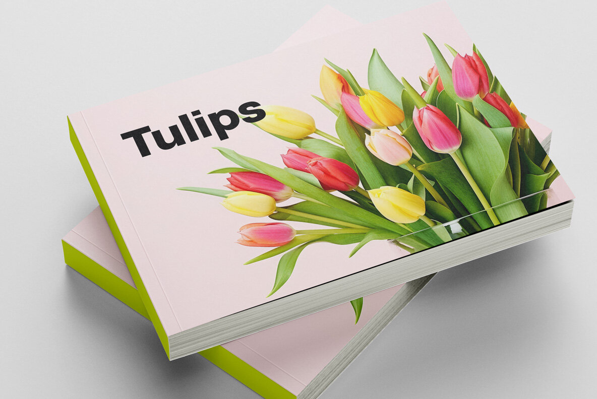 Bouquet of Tulips 11