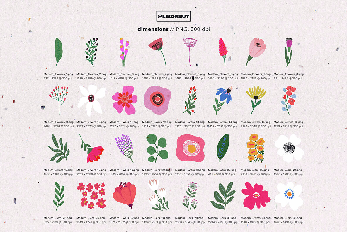 Abstract Modern Flower Illustrations 4