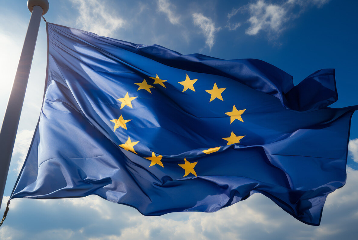 European Union flag 8