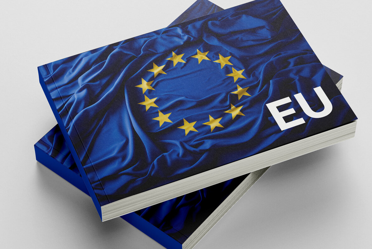 European Union flag 9