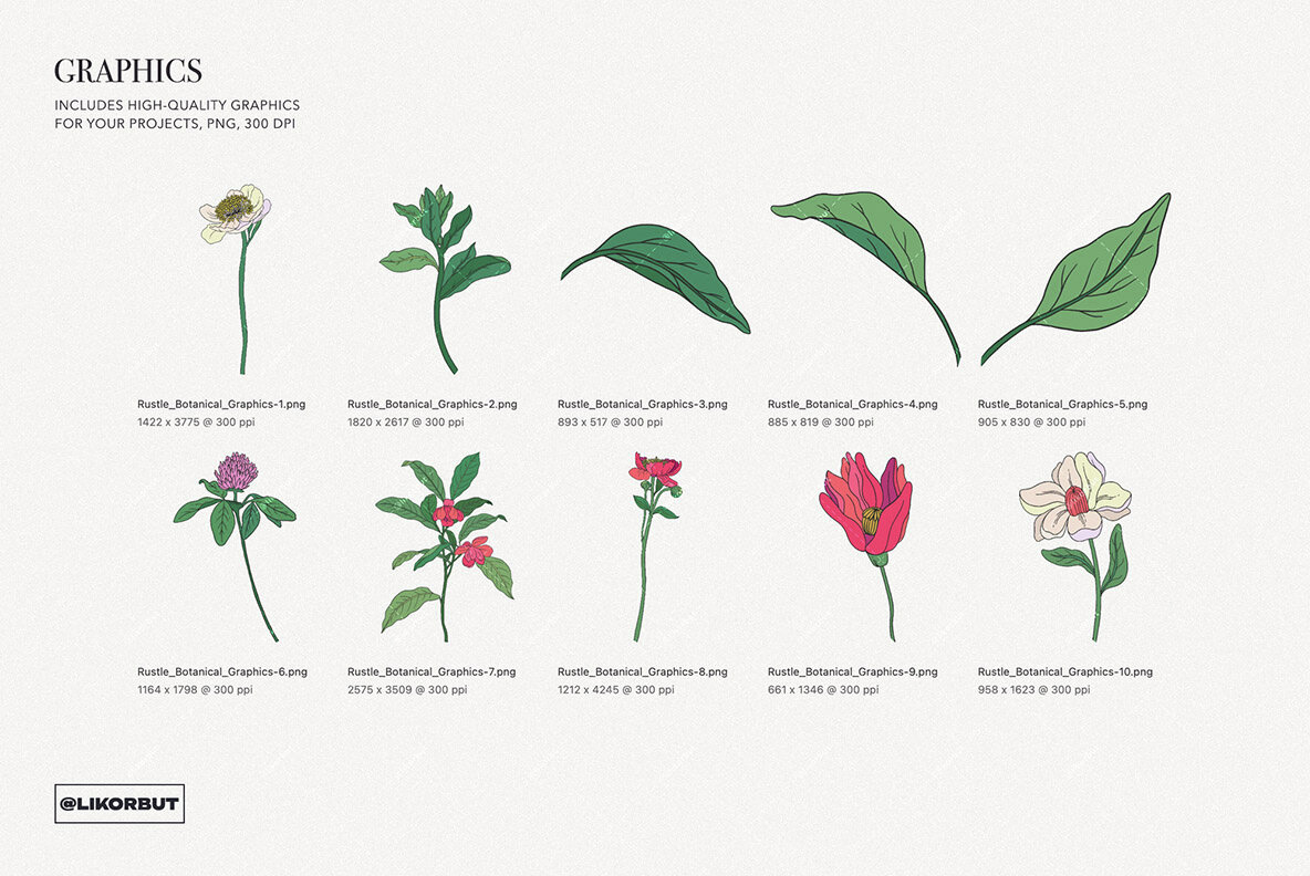 Rustle Botanical Pattern and Motifs 10