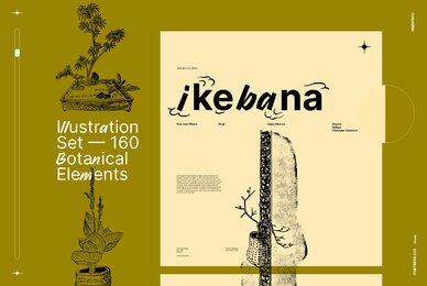 Ikebana Botanical Illustration Set