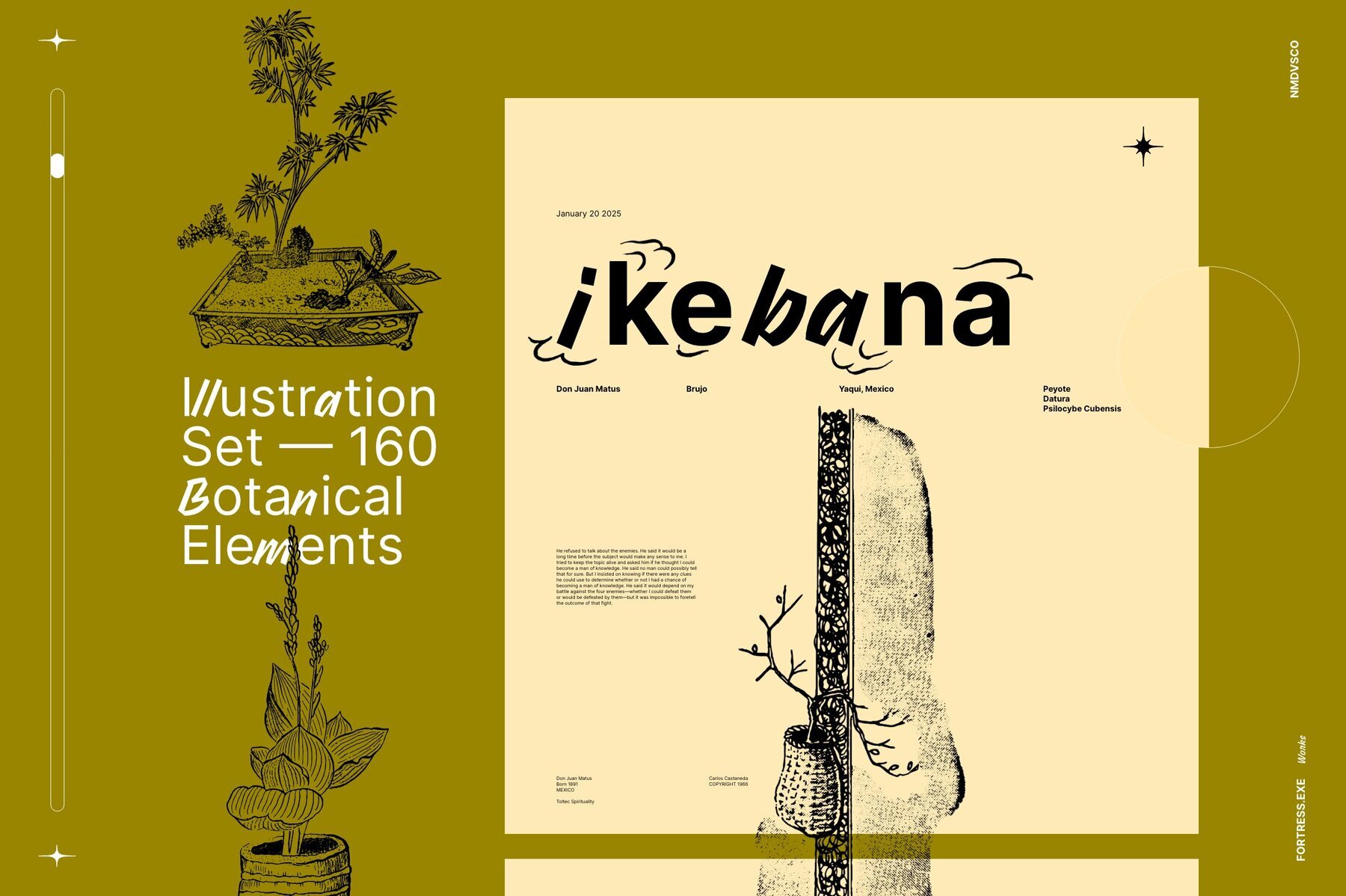 Ikebana Botanical Illustration Set 1
