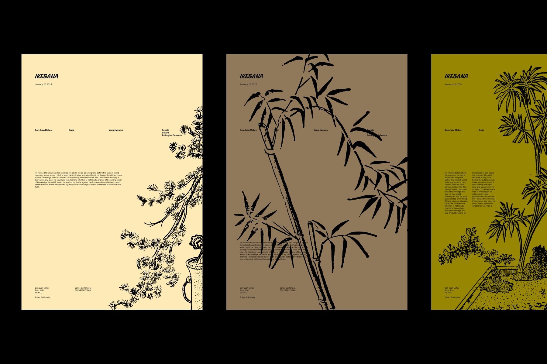 Ikebana Botanical Illustration Set 3