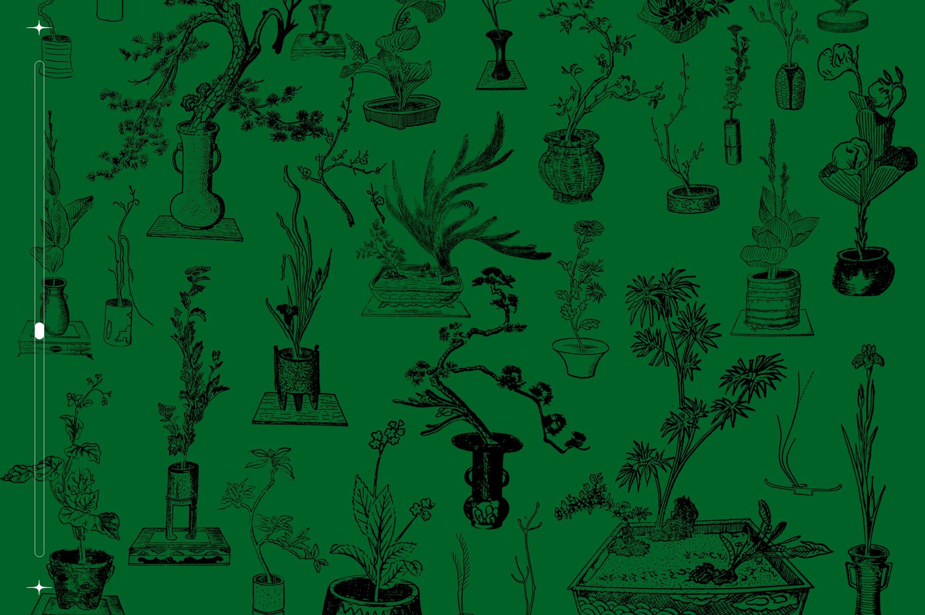 Ikebana Botanical Illustration Set 4